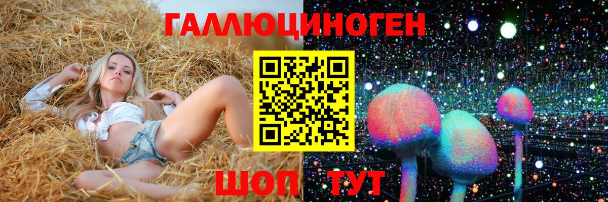Щёлково  Псилоцибиновые грибы мухоморы  Вход с VPN 